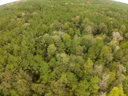Woodville, TX 75979 Tyler County