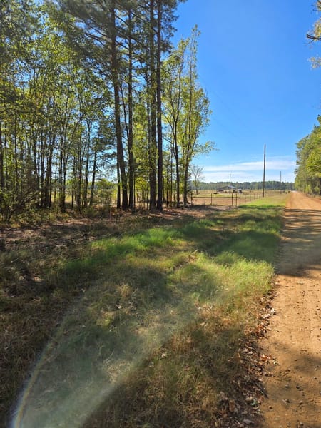 Sarepta, LA 71071 Bossier Parish