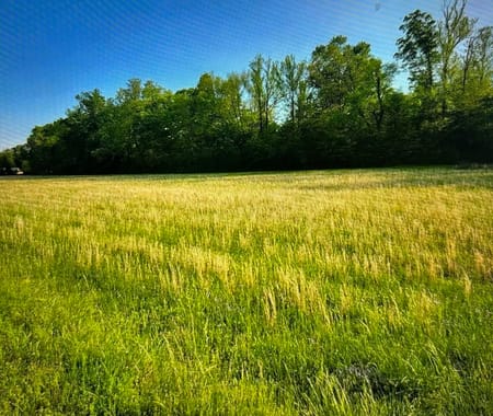 Smithville, OK 74957 McCurtain County