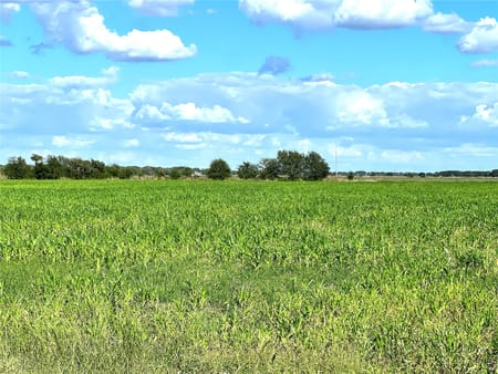 El Campo, TX 77437 Wharton County