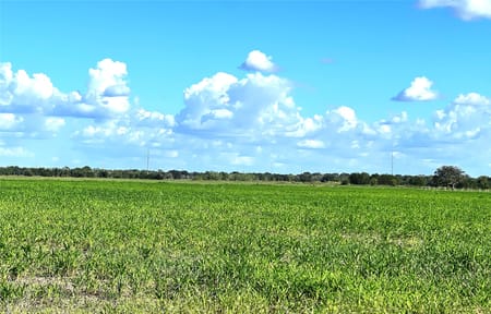 El Campo, TX 77437 Wharton County