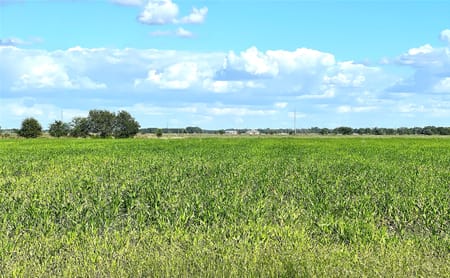 El Campo, TX 77437 Wharton County