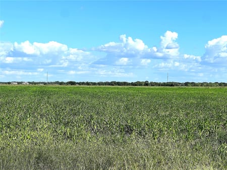 El Campo, TX 77437 Wharton County