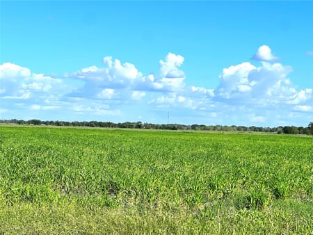 El Campo, TX 77437 Wharton County