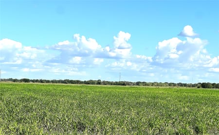 El Campo, TX 77437 Wharton County