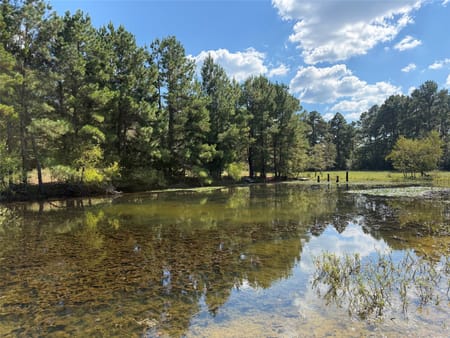 Oakwood, TX 75855 Leon County