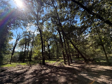 Oakwood, TX 75855 Leon County