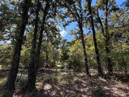 Oakwood, TX 75855 Leon County