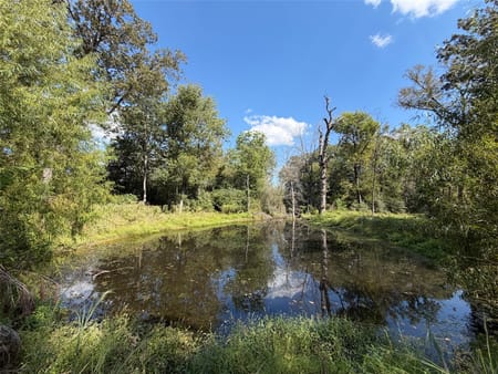 Oakwood, TX 75855 Leon County