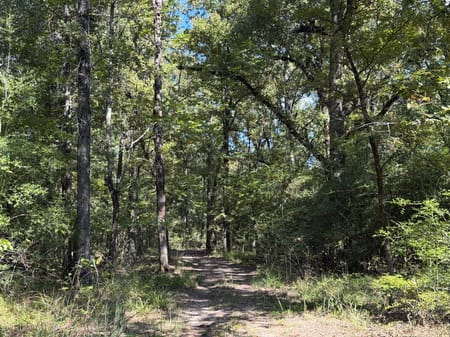 Oakwood, TX 75855 Leon County