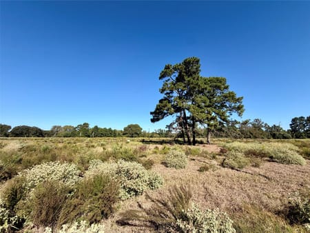 Centerville, TX 75833 Leon County