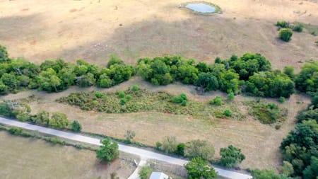 Midway, TX 75852 Madison County