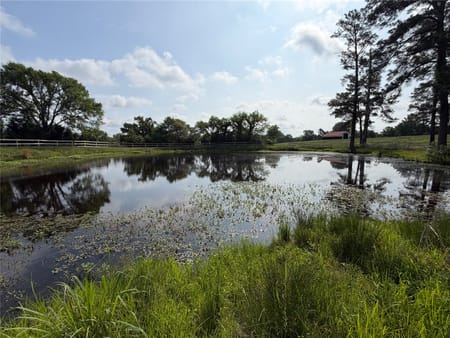 Huntsville, TX 77320 Walker County