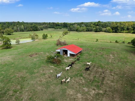 Huntsville, TX 77320 Walker County