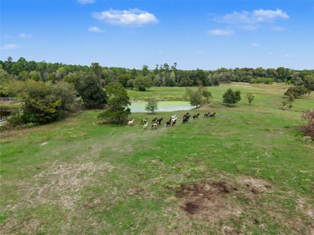 Huntsville, TX 77320 Walker County