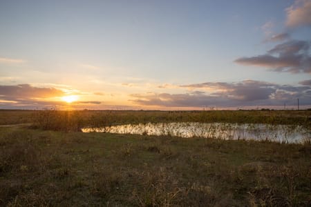 Hallettsville, TX 77964 Lavaca County