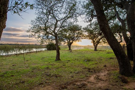 Hallettsville, TX 77964 Lavaca County