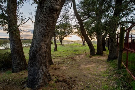 Hallettsville, TX 77964 Lavaca County