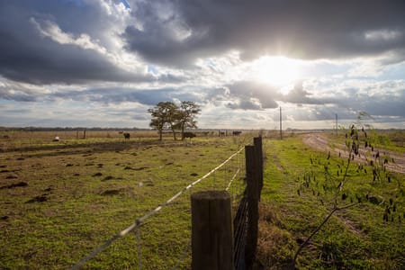 Hallettsville, TX 77964 Lavaca County