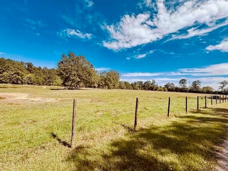 Orange, TX 77632 Orange County