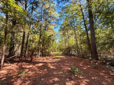 Woodville, TX 75979 Tyler County