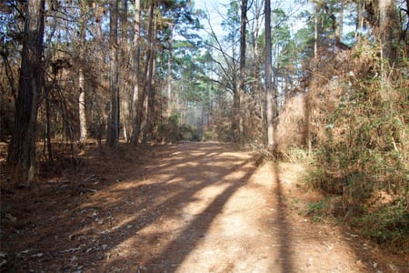 Kennard, TX 75847 Houston County