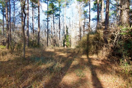 Kennard, TX 75847 Houston County