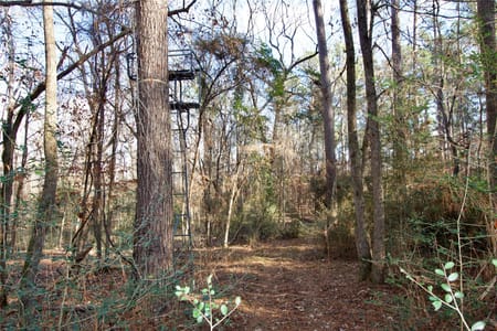 Kennard, TX 75847 Houston County