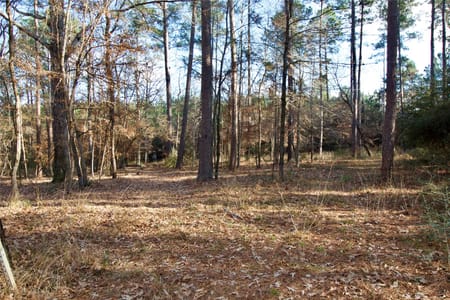 Kennard, TX 75847 Houston County
