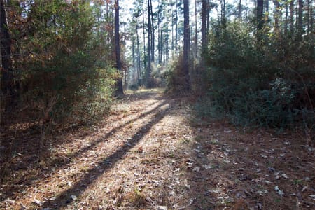 Kennard, TX 75847 Houston County