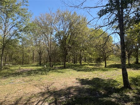 Bedias, TX 77831 Grimes County