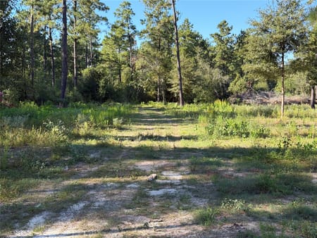 Silsbee, TX 77656 Hardin County