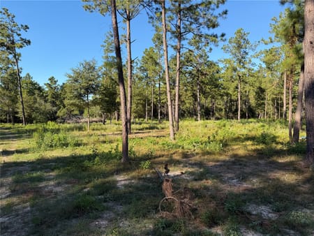 Silsbee, TX 77656 Hardin County