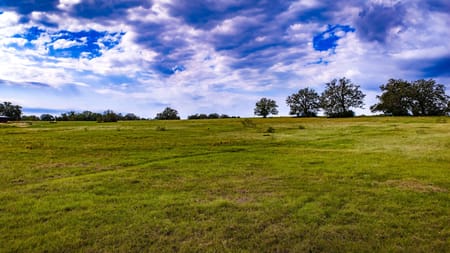 Madisonville, TX 77864 Madison County