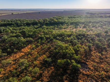 Tuscola, TX 79562 Taylor County