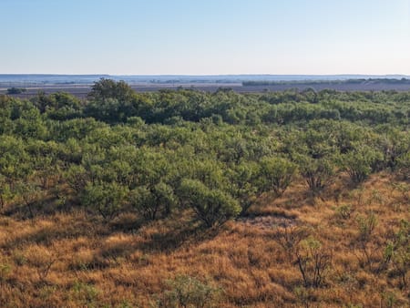Tuscola, TX 79562 Taylor County
