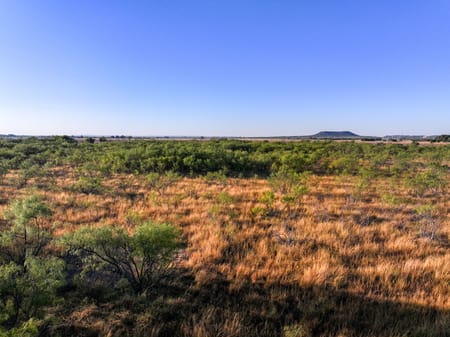 Tuscola, TX 79562 Taylor County