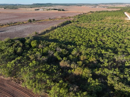 Tuscola, TX 79562 Taylor County