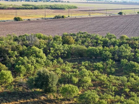 Tuscola, TX 79562 Taylor County