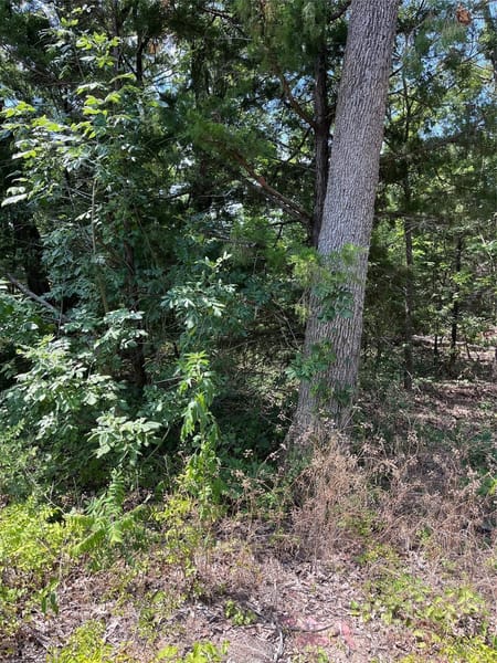 Mabank, TX 75156 Henderson County