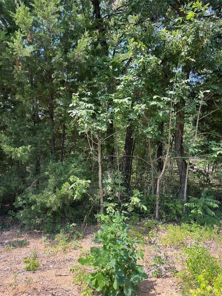 Mabank, TX 75156 Henderson County