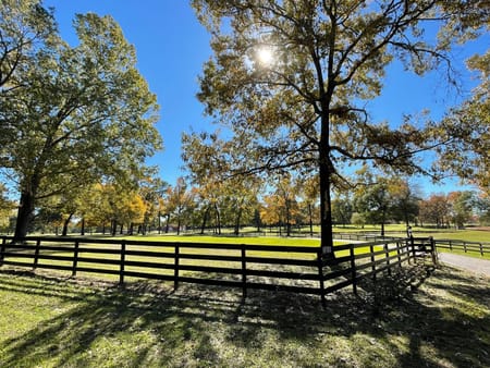 Montgomery, TX 77356 Montgomery County