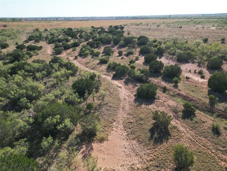 Ovalo, TX 79567 Taylor County