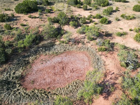 Ovalo, TX 79567 Taylor County