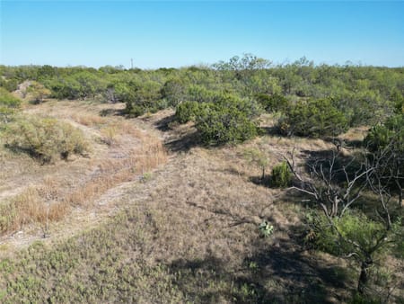 Ovalo, TX 79567 Taylor County