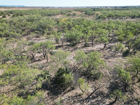Ovalo, TX 79567 Taylor County
