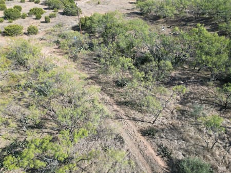 Ovalo, TX 79567 Taylor County