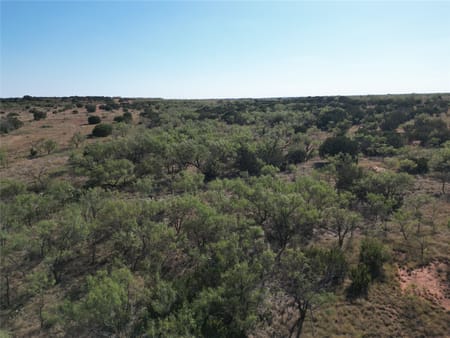 Ovalo, TX 79567 Taylor County