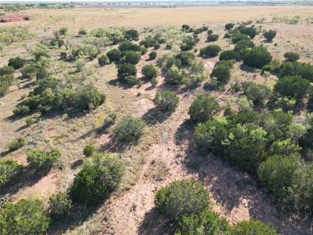 Ovalo, TX 79567 Taylor County