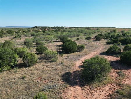 Ovalo, TX 79567 Taylor County